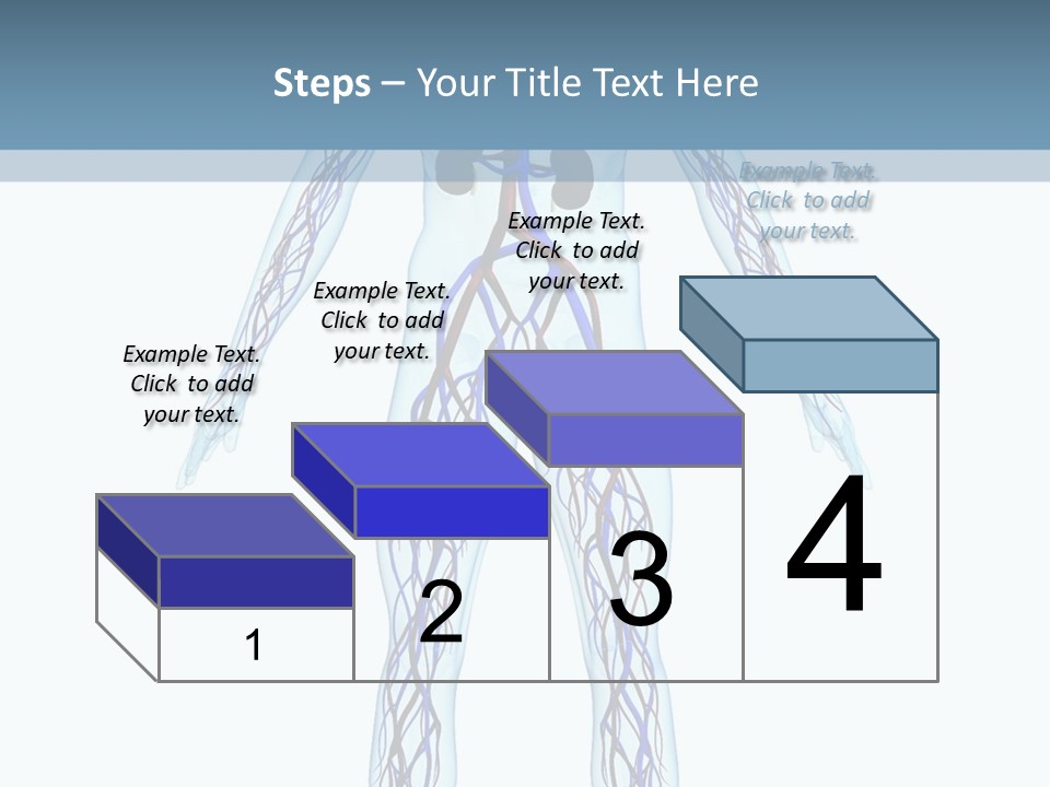 Cardiovascular System PowerPoint Template