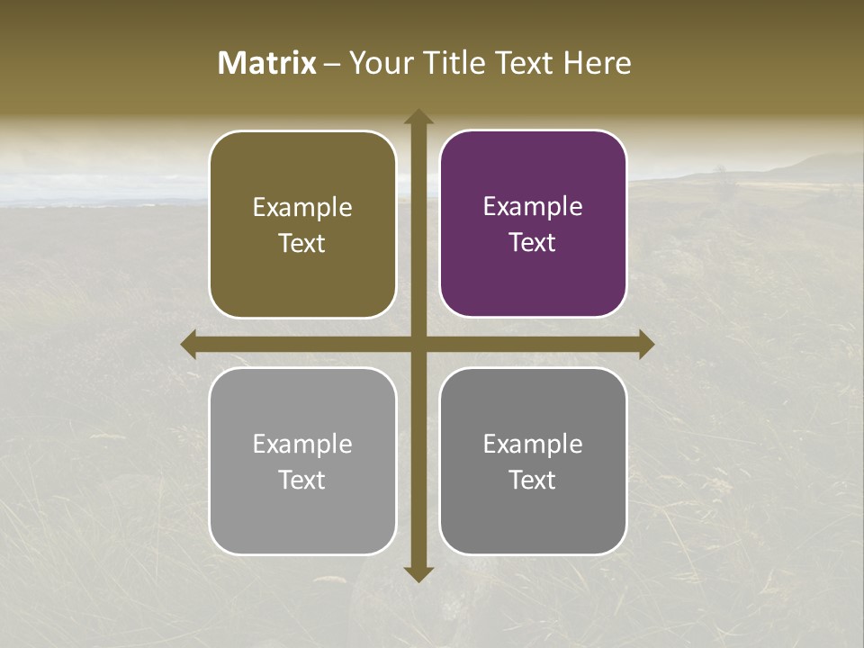 Scottish Highlands - Heather PowerPoint Template