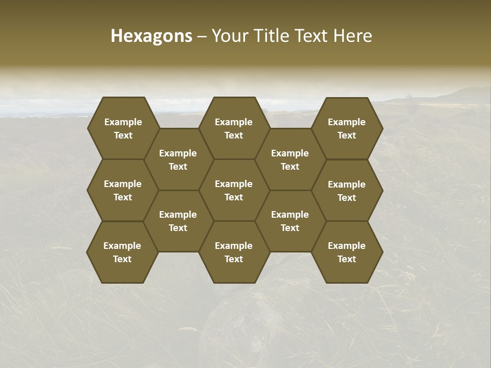 Scottish Highlands - Heather PowerPoint Template