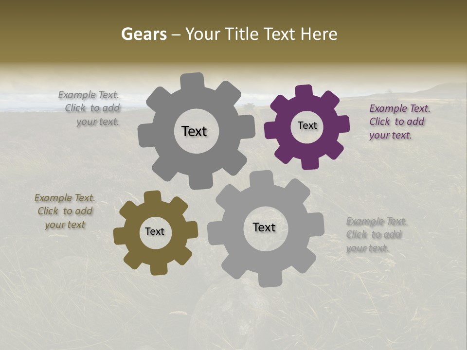 Scottish Highlands - Heather PowerPoint Template
