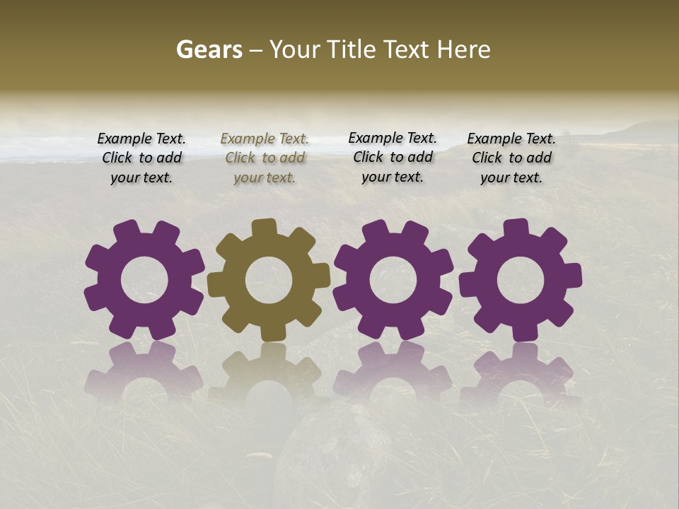 Scottish Highlands - Heather PowerPoint Template