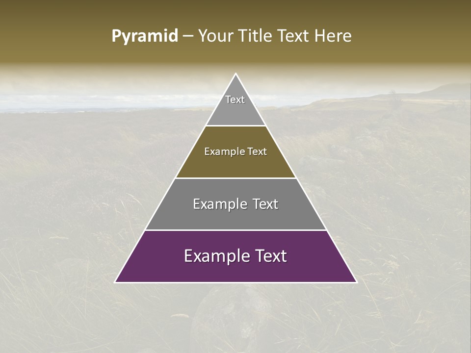 Scottish Highlands - Heather PowerPoint Template