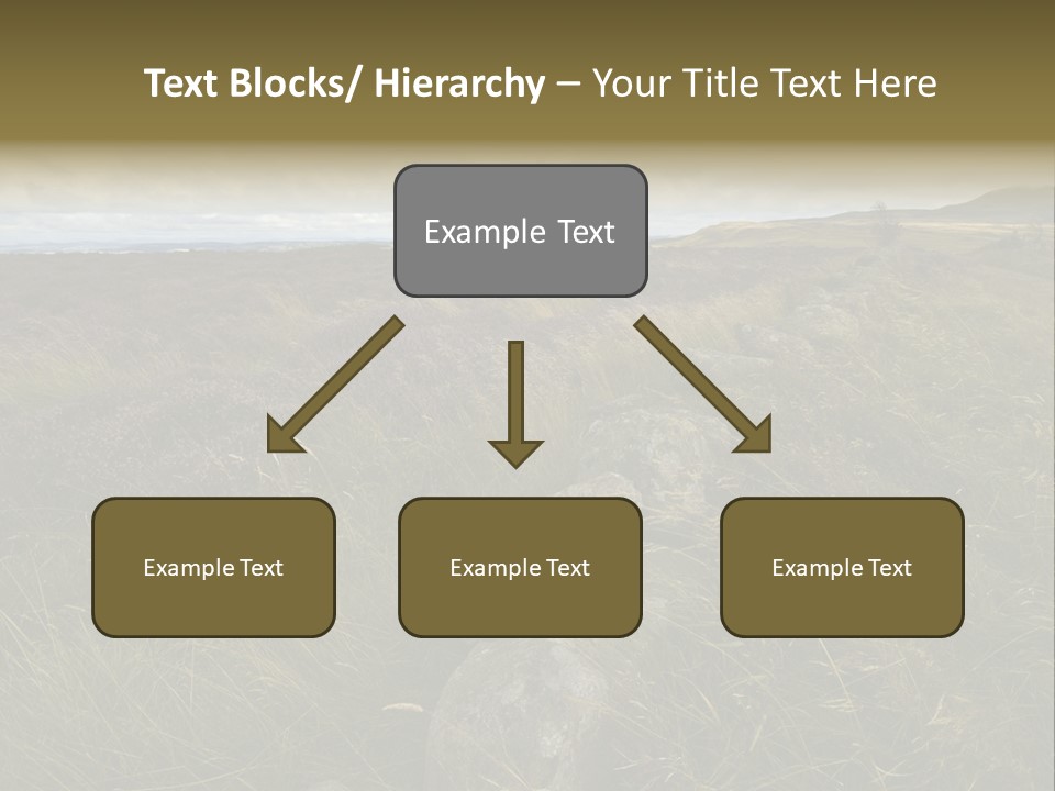 Scottish Highlands - Heather PowerPoint Template