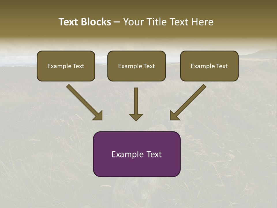 Scottish Highlands - Heather PowerPoint Template