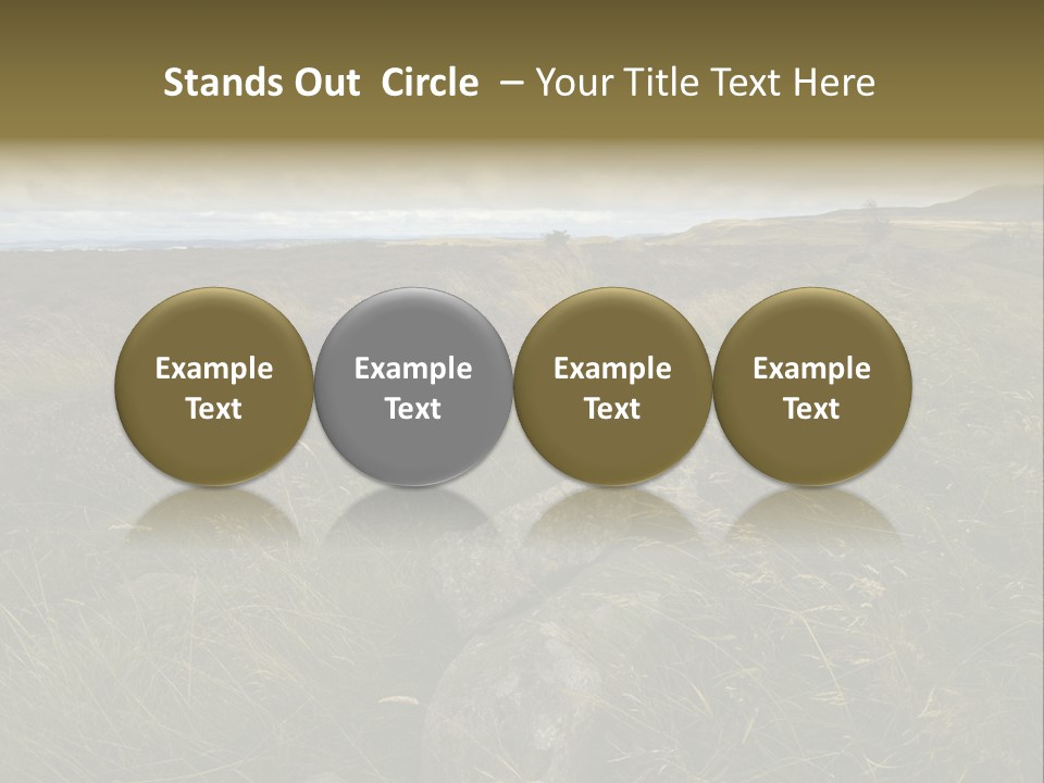 Scottish Highlands - Heather PowerPoint Template