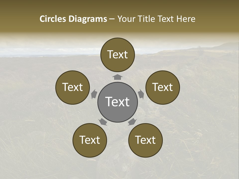 Scottish Highlands - Heather PowerPoint Template