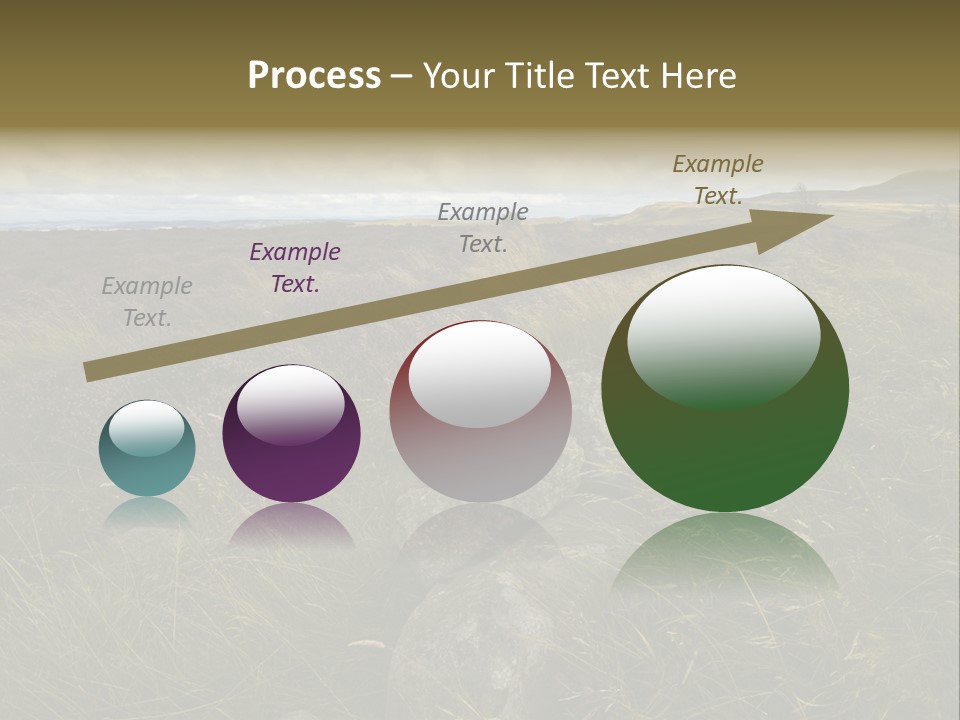Scottish Highlands - Heather PowerPoint Template