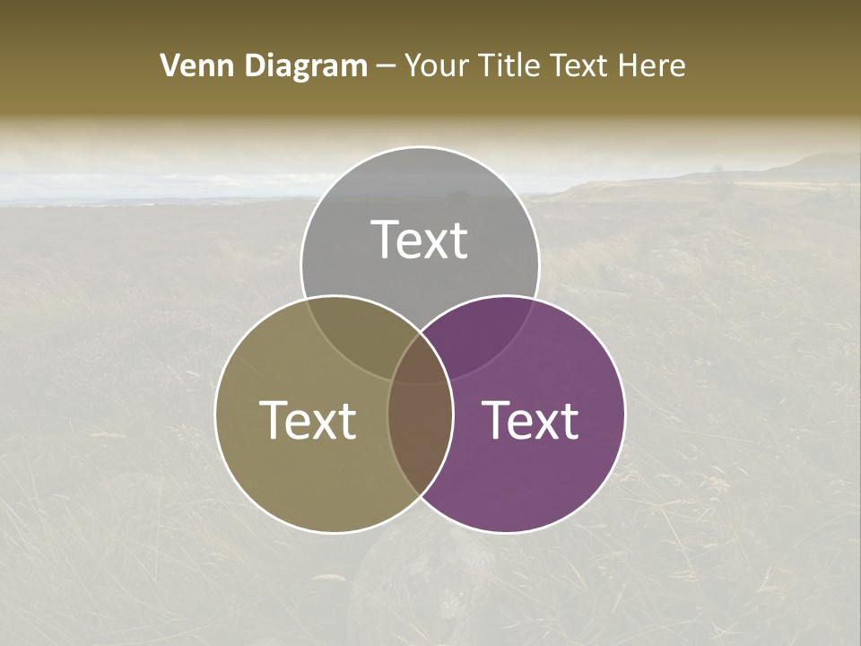 Scottish Highlands - Heather PowerPoint Template