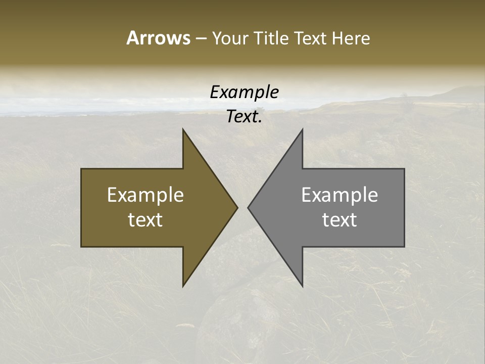 Scottish Highlands - Heather PowerPoint Template