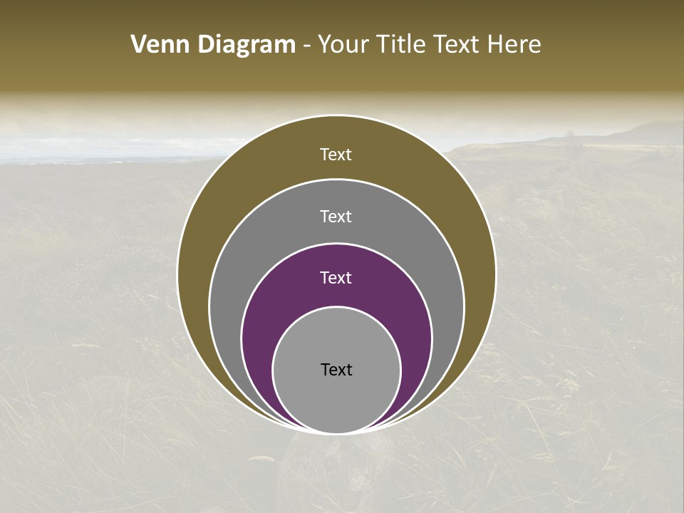 Scottish Highlands - Heather PowerPoint Template