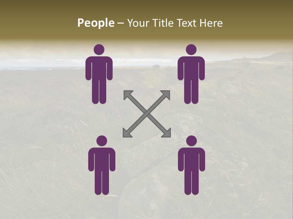 Scottish Highlands - Heather PowerPoint Template