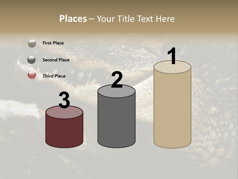 Closeup Of A Crocodile PowerPoint Template