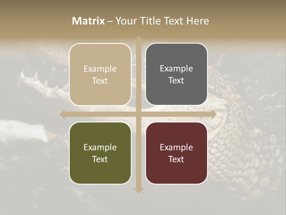 Closeup Of A Crocodile PowerPoint Template
