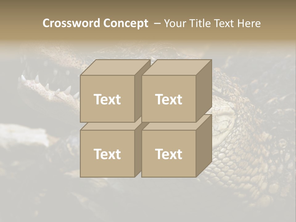 Closeup Of A Crocodile PowerPoint Template