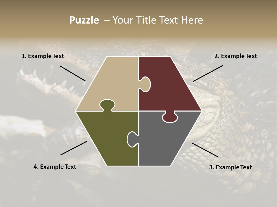 Closeup Of A Crocodile PowerPoint Template