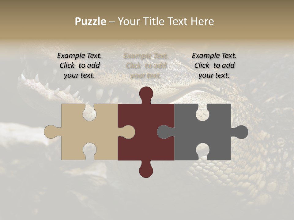 Closeup Of A Crocodile PowerPoint Template