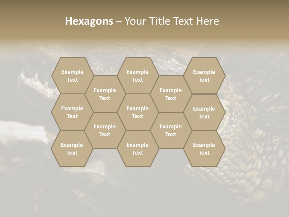 Closeup Of A Crocodile PowerPoint Template