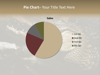 Closeup Of A Crocodile PowerPoint Template