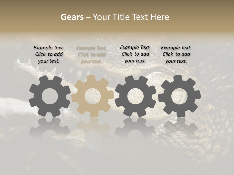 Closeup Of A Crocodile PowerPoint Template