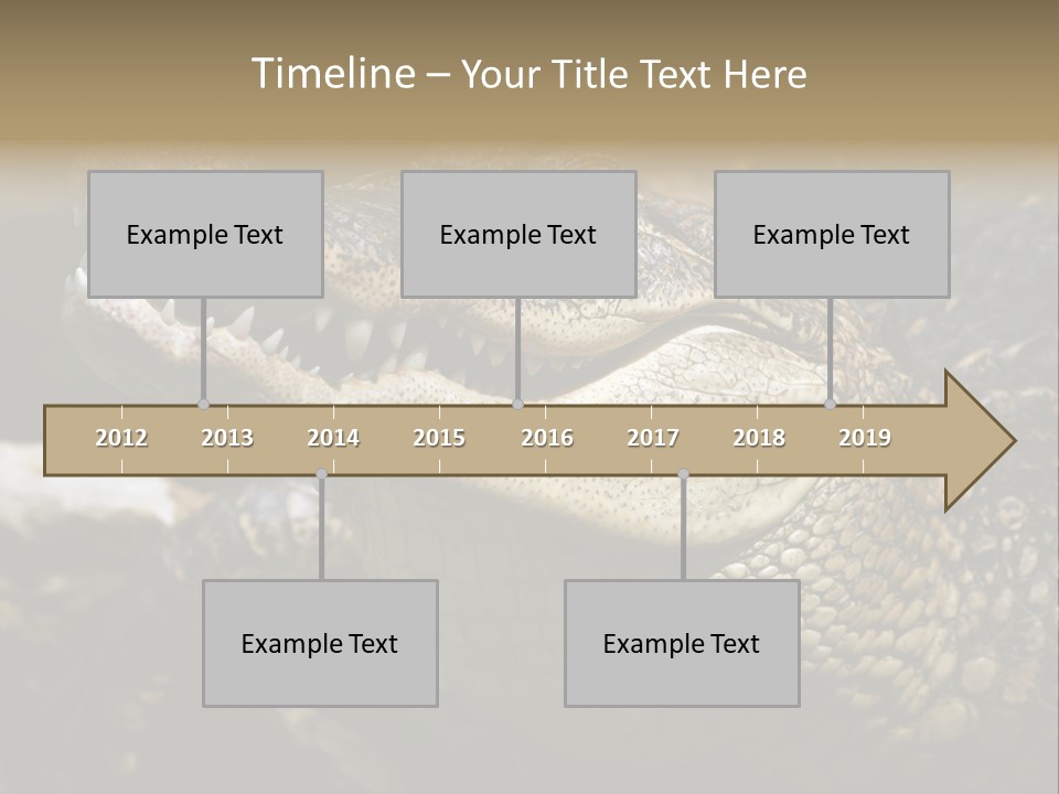 Closeup Of A Crocodile PowerPoint Template