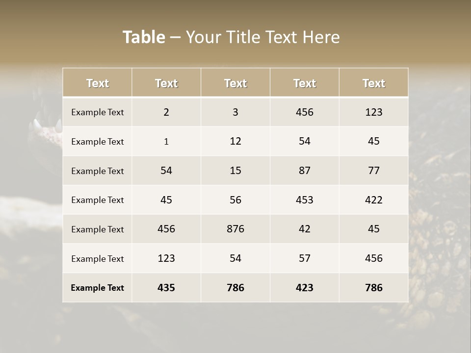 Closeup Of A Crocodile PowerPoint Template