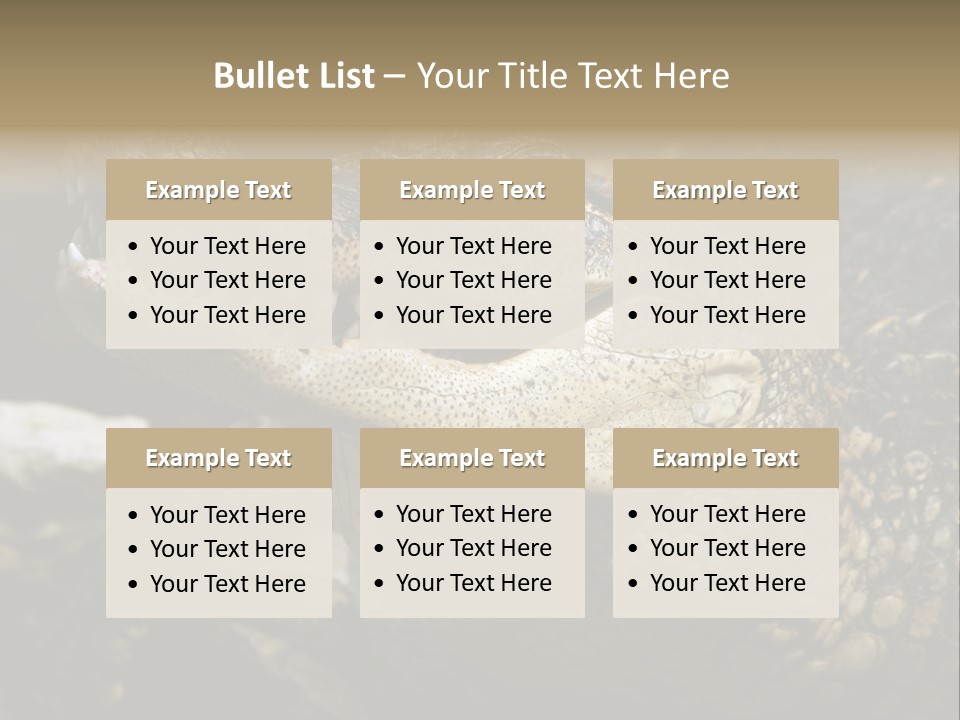 Closeup Of A Crocodile PowerPoint Template