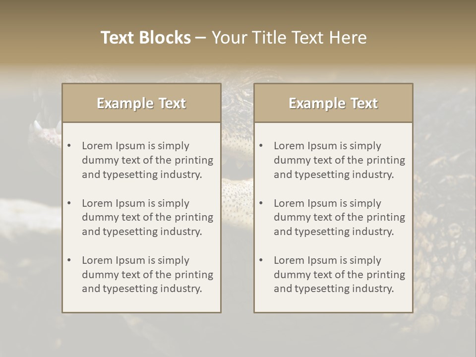 Closeup Of A Crocodile PowerPoint Template