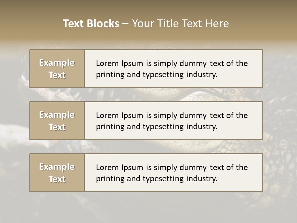 Closeup Of A Crocodile PowerPoint Template