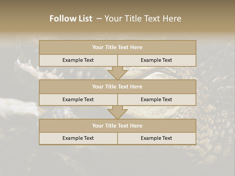Closeup Of A Crocodile PowerPoint Template