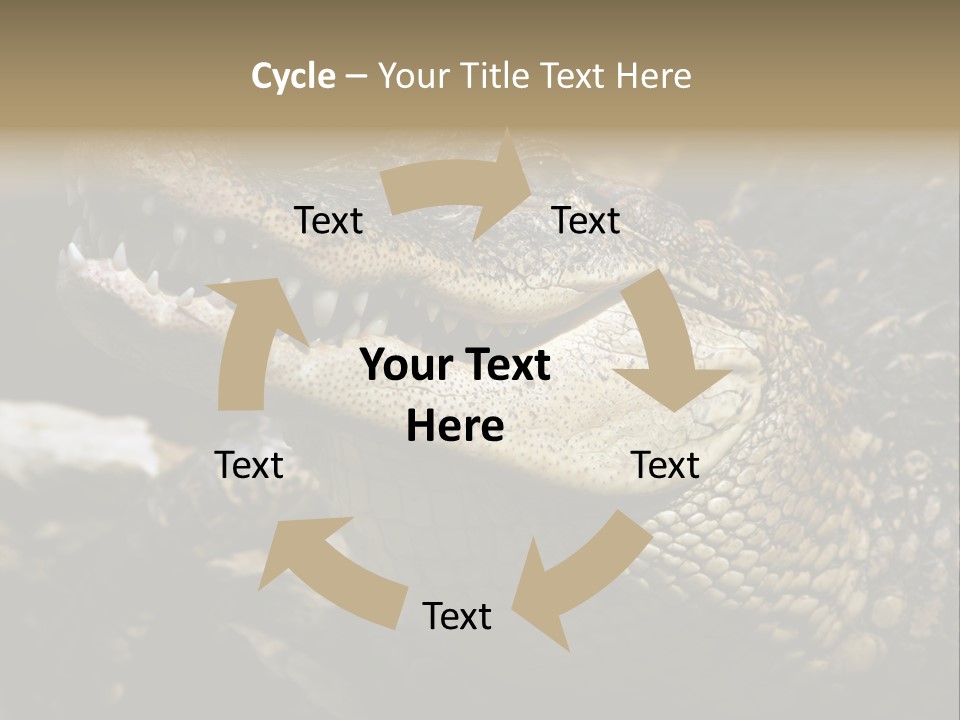 Closeup Of A Crocodile PowerPoint Template