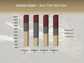 Closeup Of A Crocodile PowerPoint Template