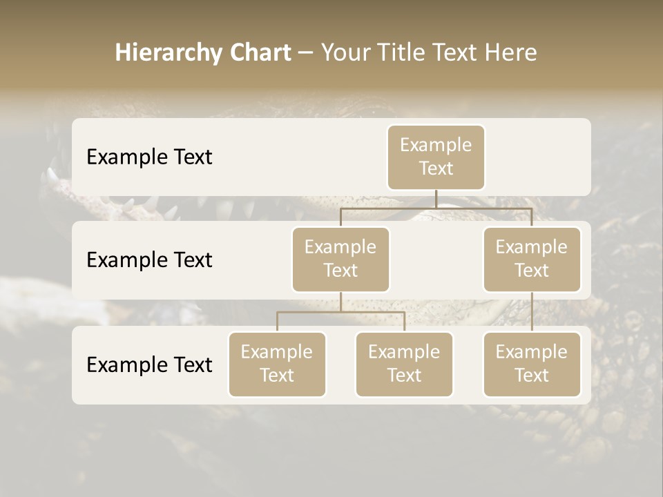 Closeup Of A Crocodile PowerPoint Template