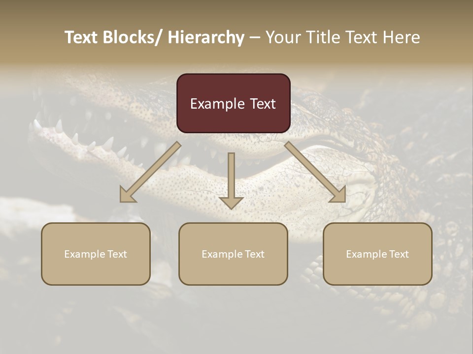 Closeup Of A Crocodile PowerPoint Template