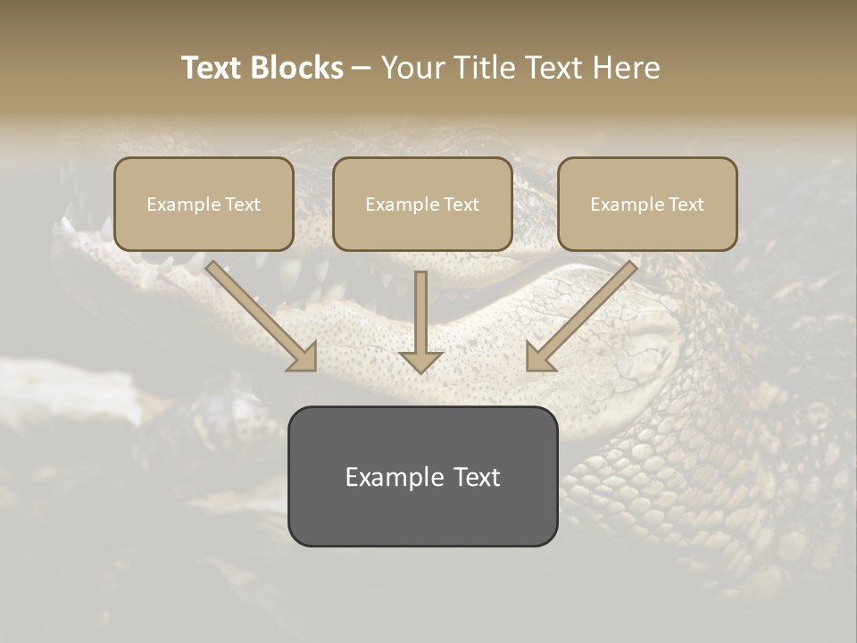 Closeup Of A Crocodile PowerPoint Template