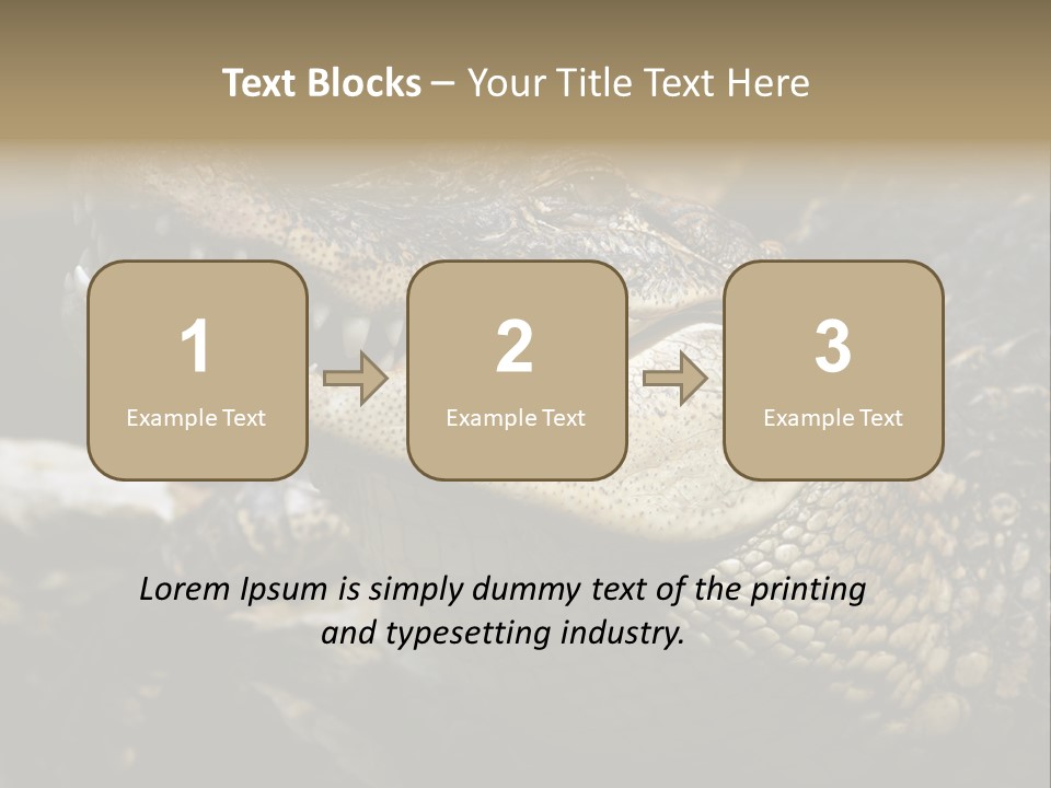 Closeup Of A Crocodile PowerPoint Template