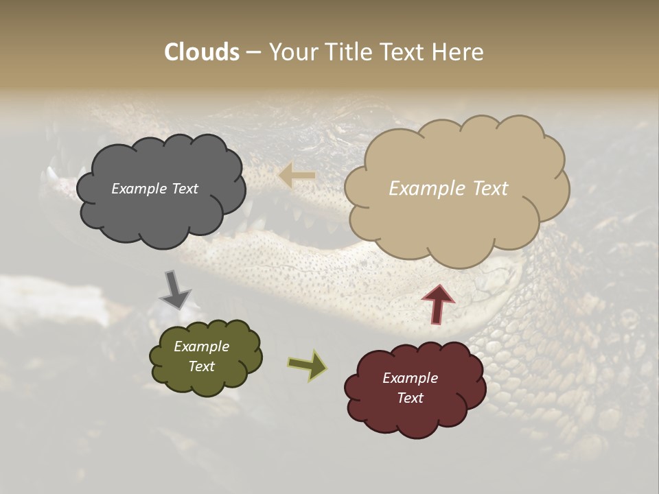 Closeup Of A Crocodile PowerPoint Template