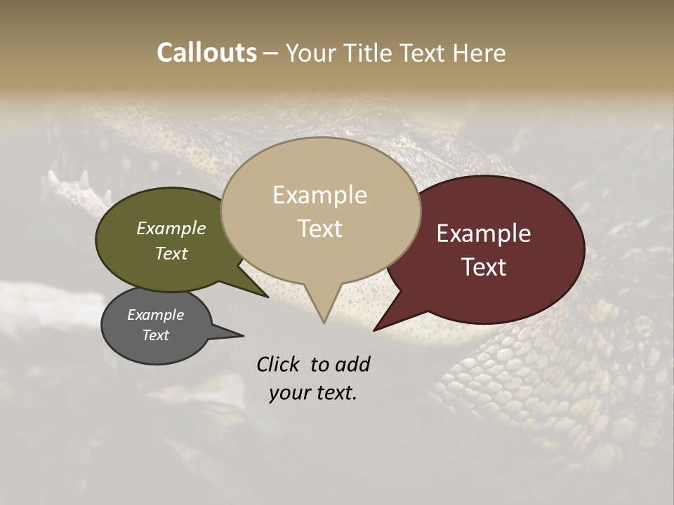 Closeup Of A Crocodile PowerPoint Template