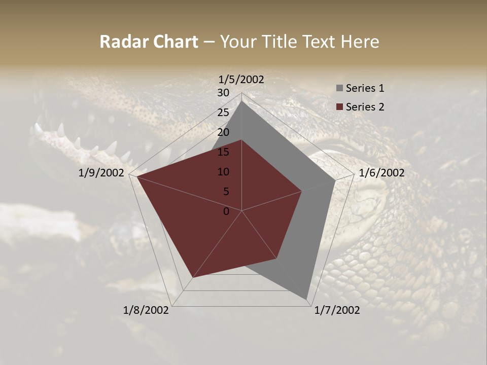 Closeup Of A Crocodile PowerPoint Template