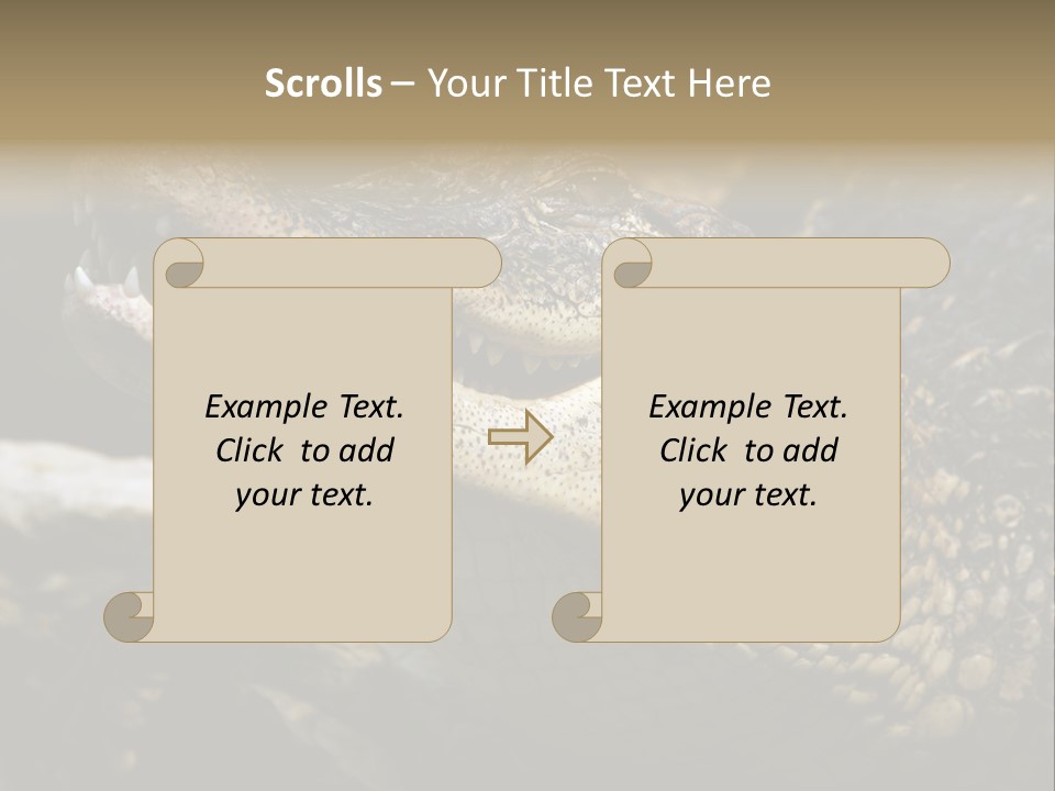 Closeup Of A Crocodile PowerPoint Template