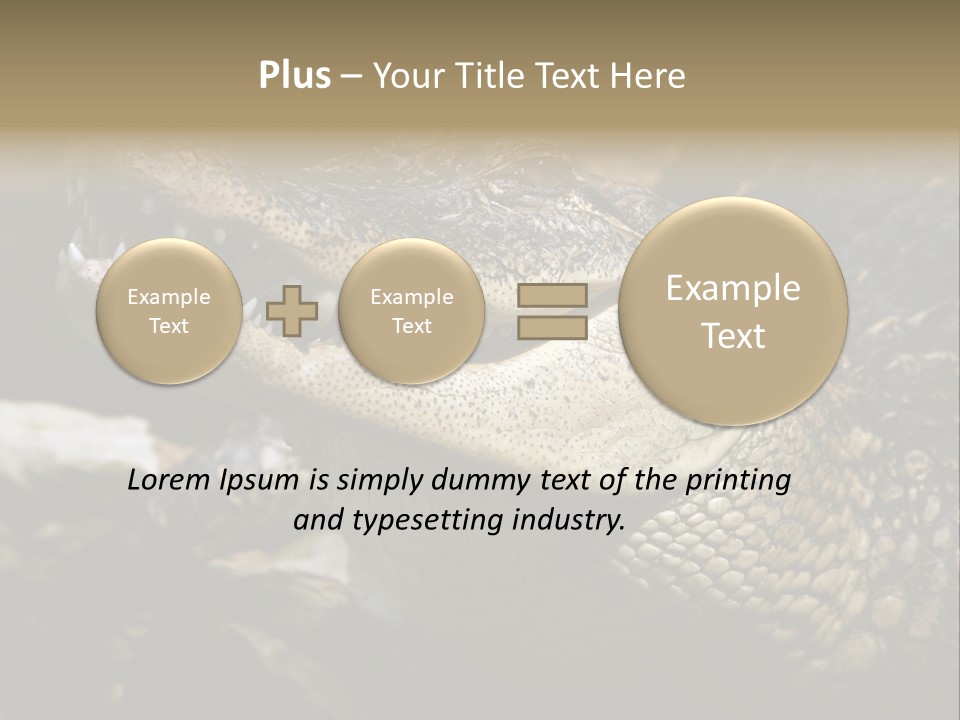 Closeup Of A Crocodile PowerPoint Template