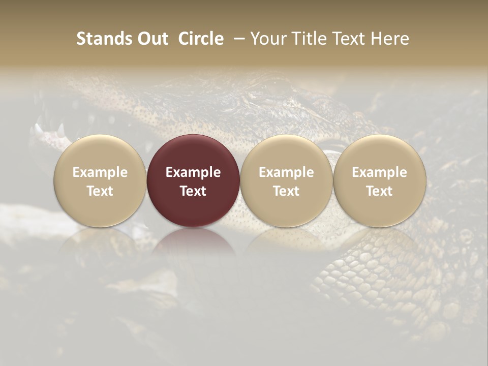 Closeup Of A Crocodile PowerPoint Template