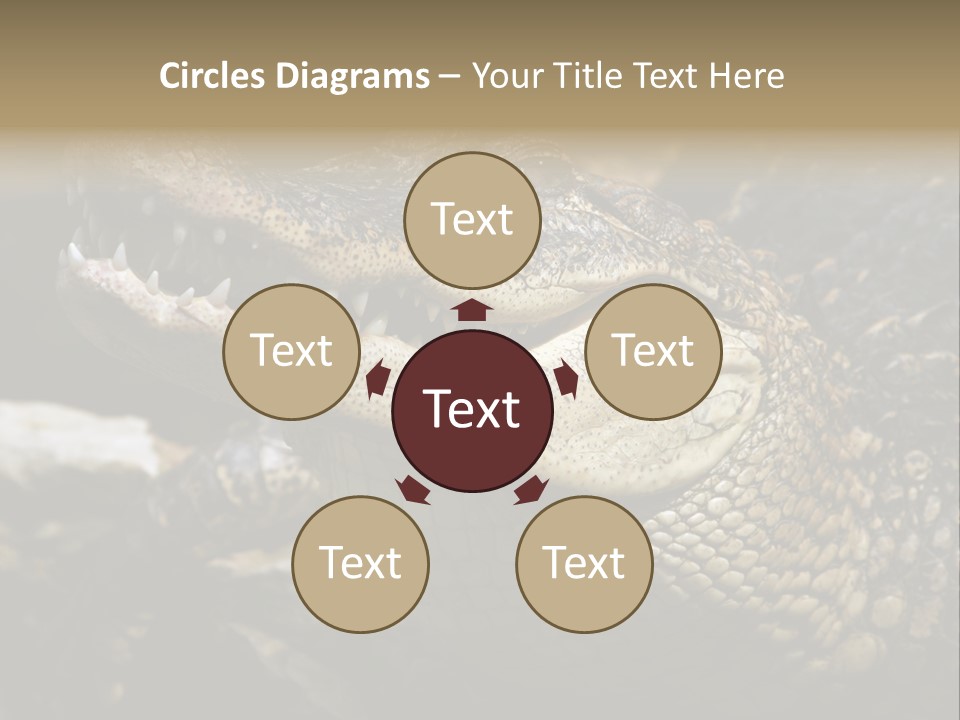 Closeup Of A Crocodile PowerPoint Template