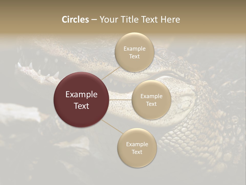 Closeup Of A Crocodile PowerPoint Template