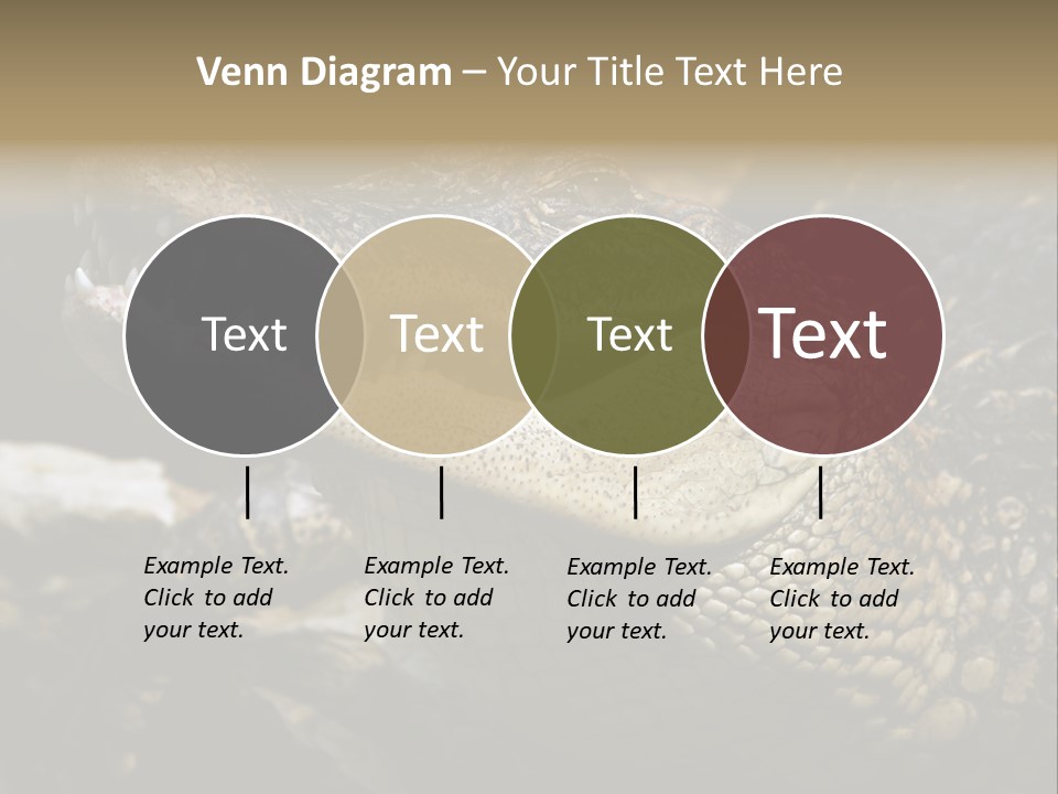 Closeup Of A Crocodile PowerPoint Template