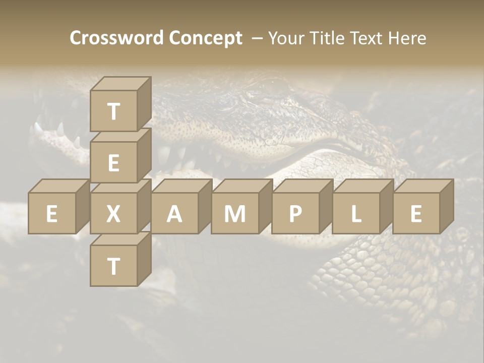 Closeup Of A Crocodile PowerPoint Template