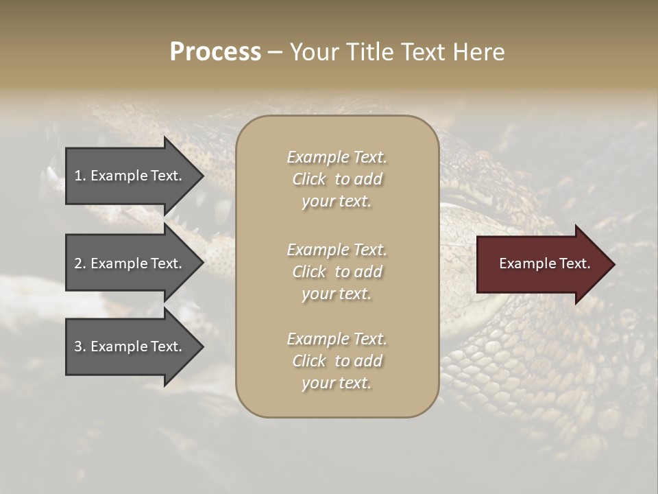 Closeup Of A Crocodile PowerPoint Template