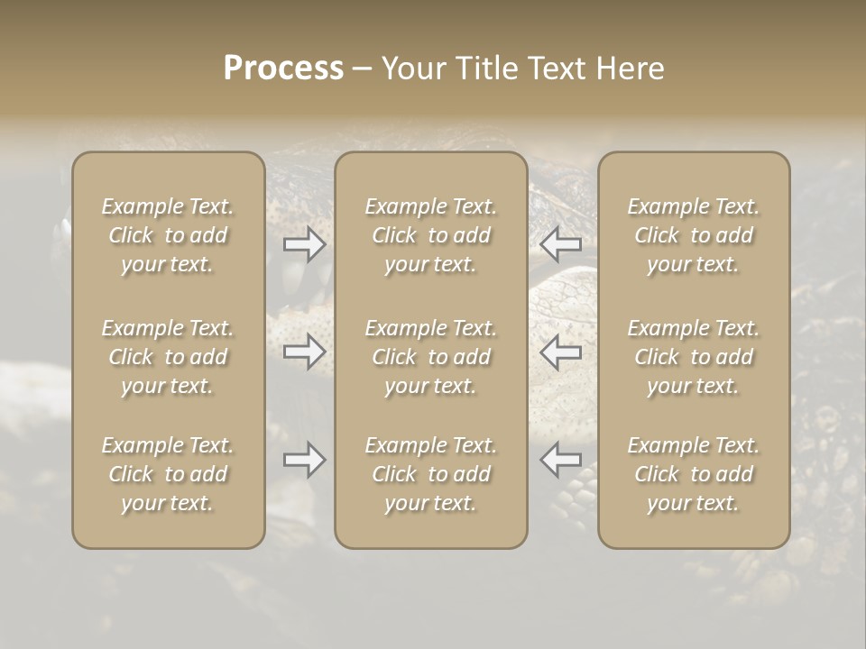 Closeup Of A Crocodile PowerPoint Template