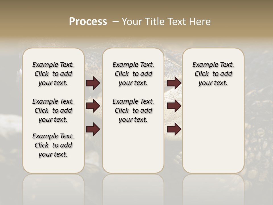 Closeup Of A Crocodile PowerPoint Template