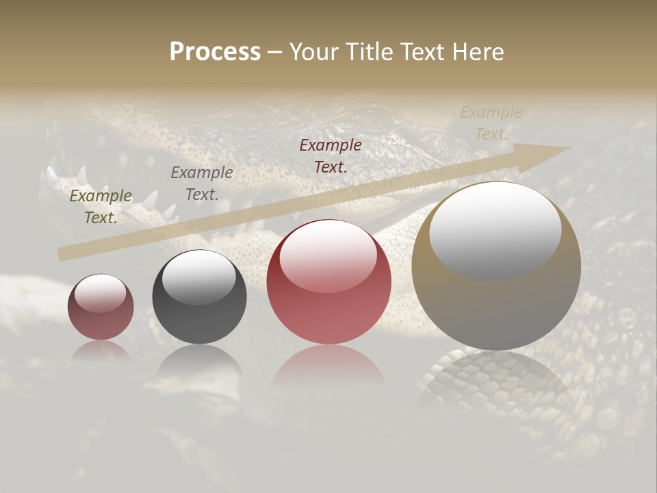 Closeup Of A Crocodile PowerPoint Template