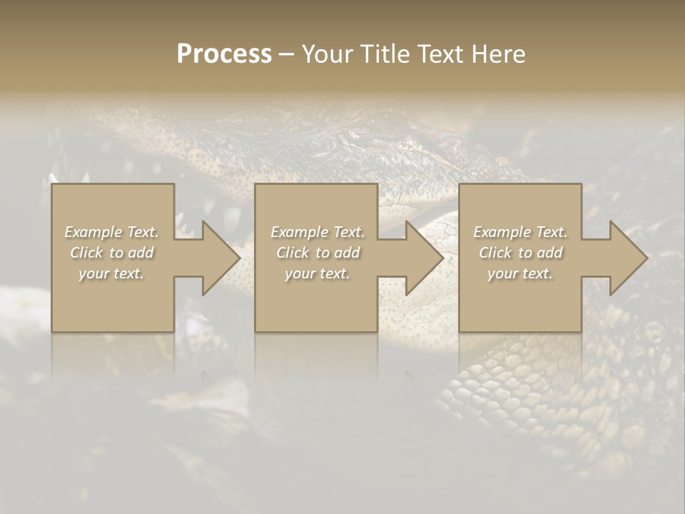 Closeup Of A Crocodile PowerPoint Template
